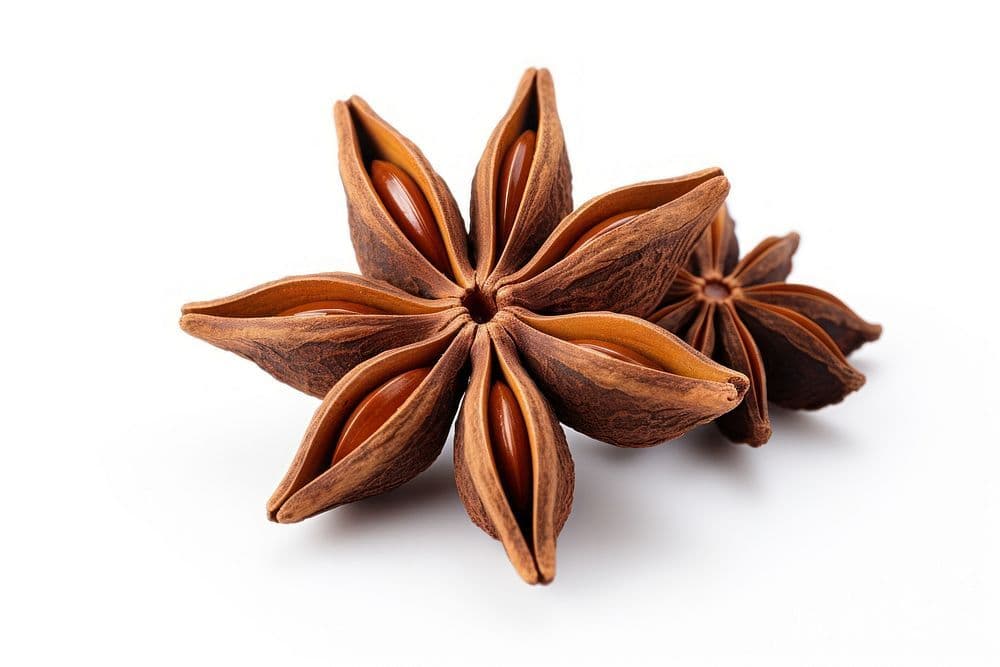 Star Anise