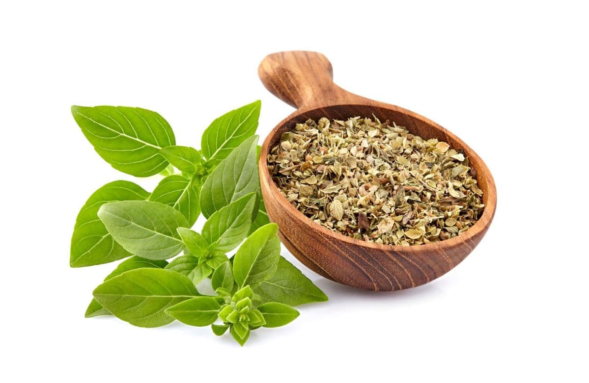 Dried Oregano